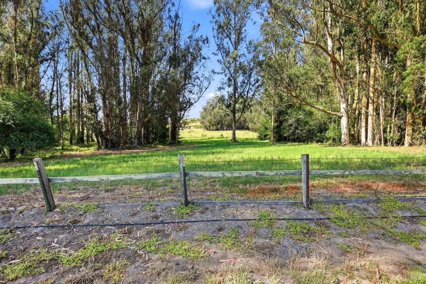 7470 Roblar Road photo 41