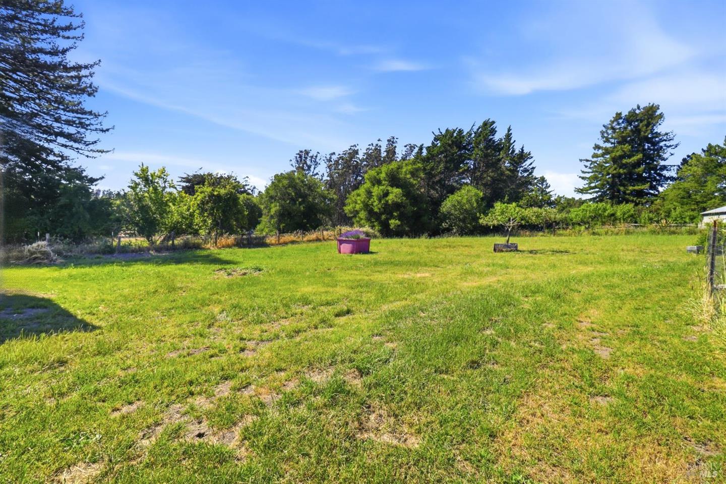 4270 Roblar Road photo 35