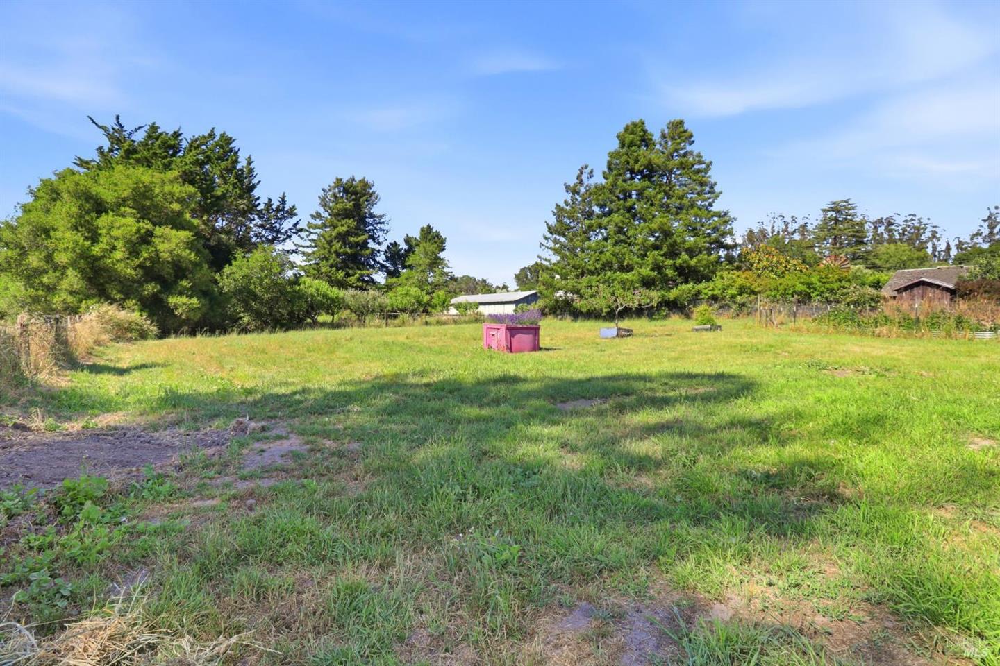 4270 Roblar Road photo 36