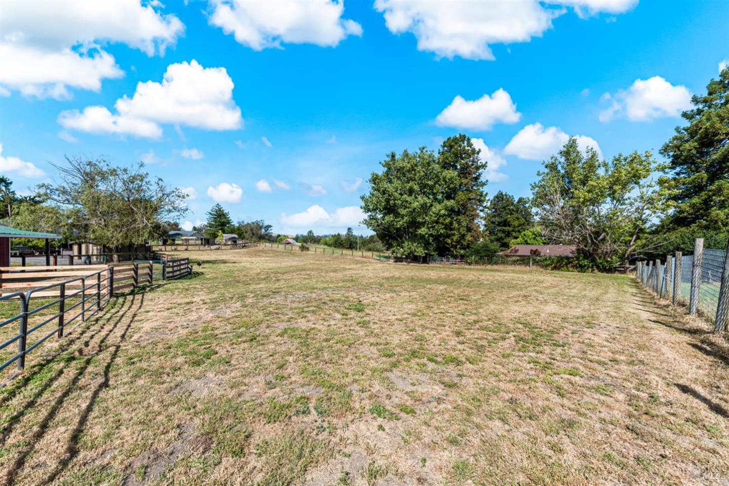 8571 Brand Lane photo 54