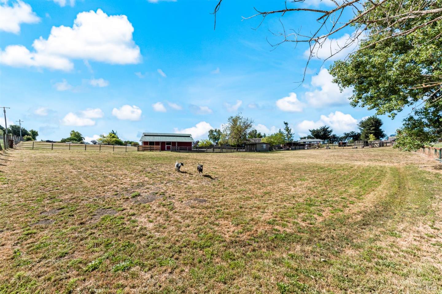 8571 Brand Lane photo 55