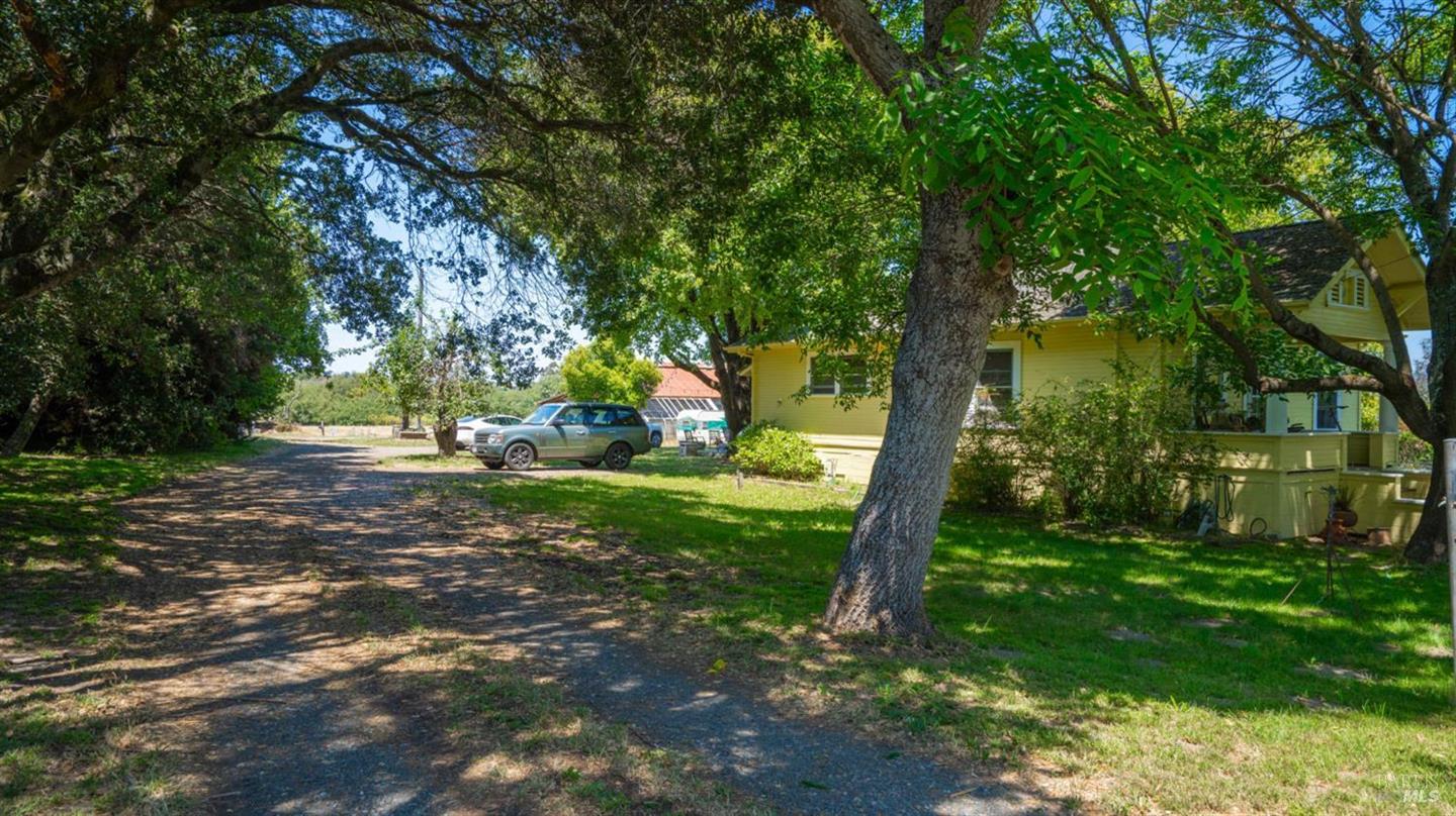 4898 Bodega Avenue photo 12