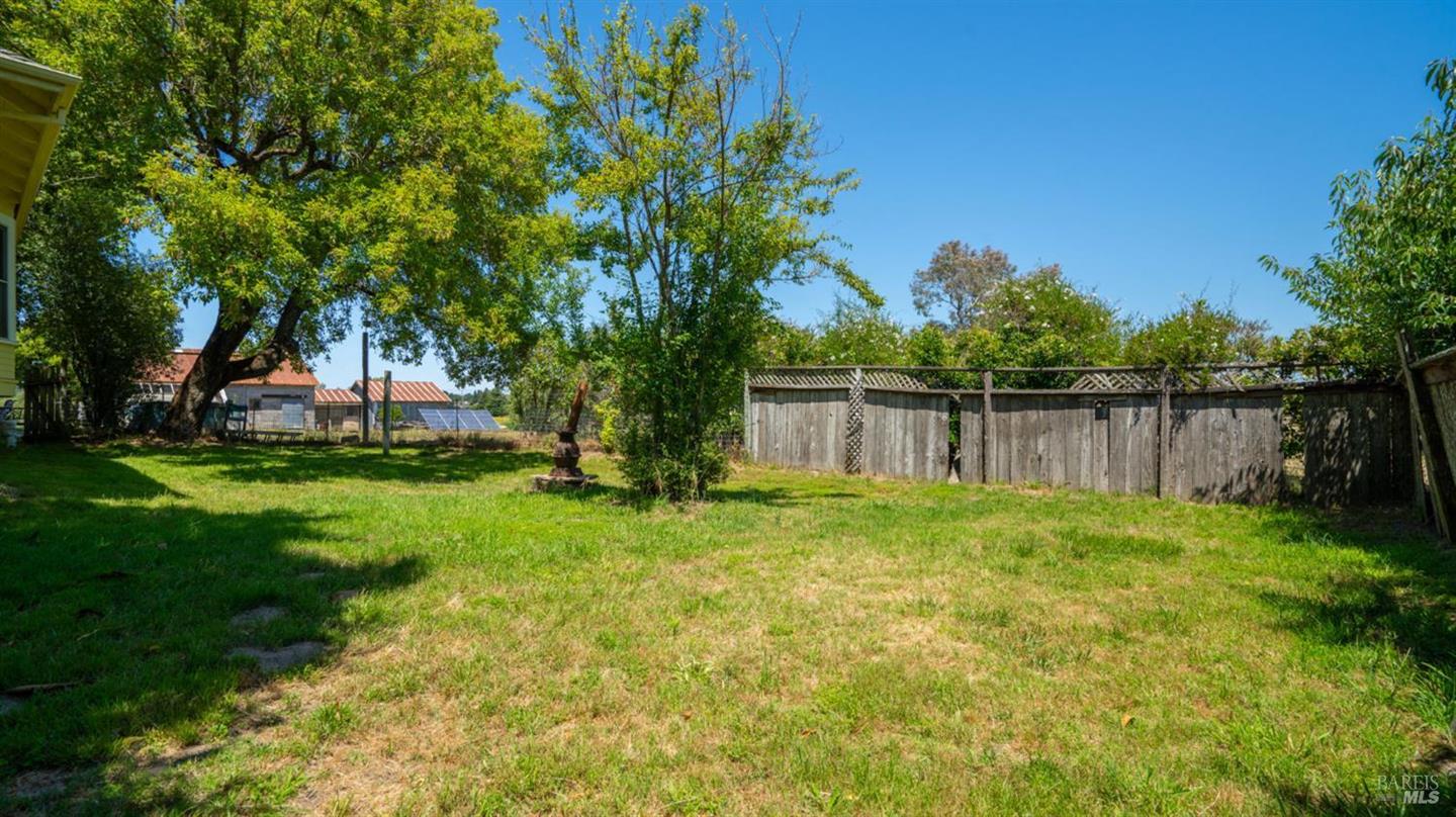 4898 Bodega Avenue photo 27