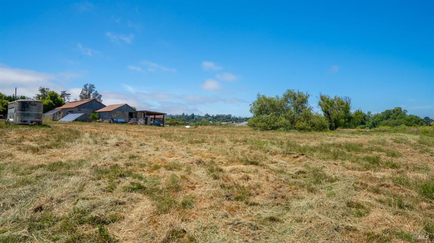 4898 Bodega Avenue photo 45