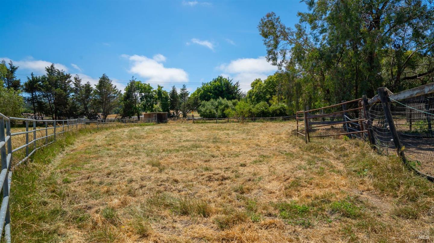 4898 Bodega Avenue photo 48