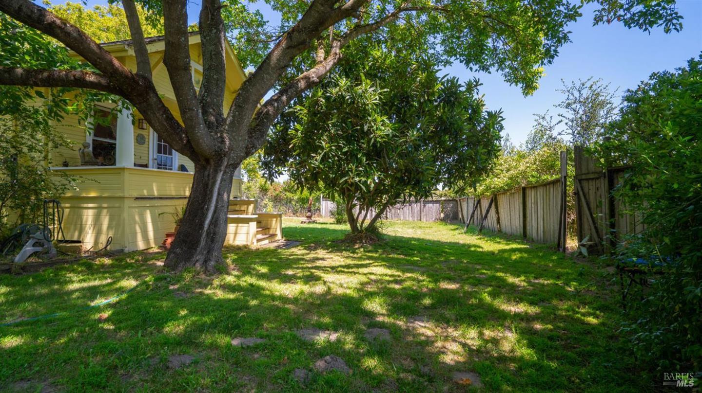 4898 Bodega Avenue photo 6