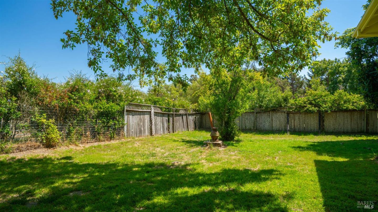 4898 Bodega Avenue photo 62