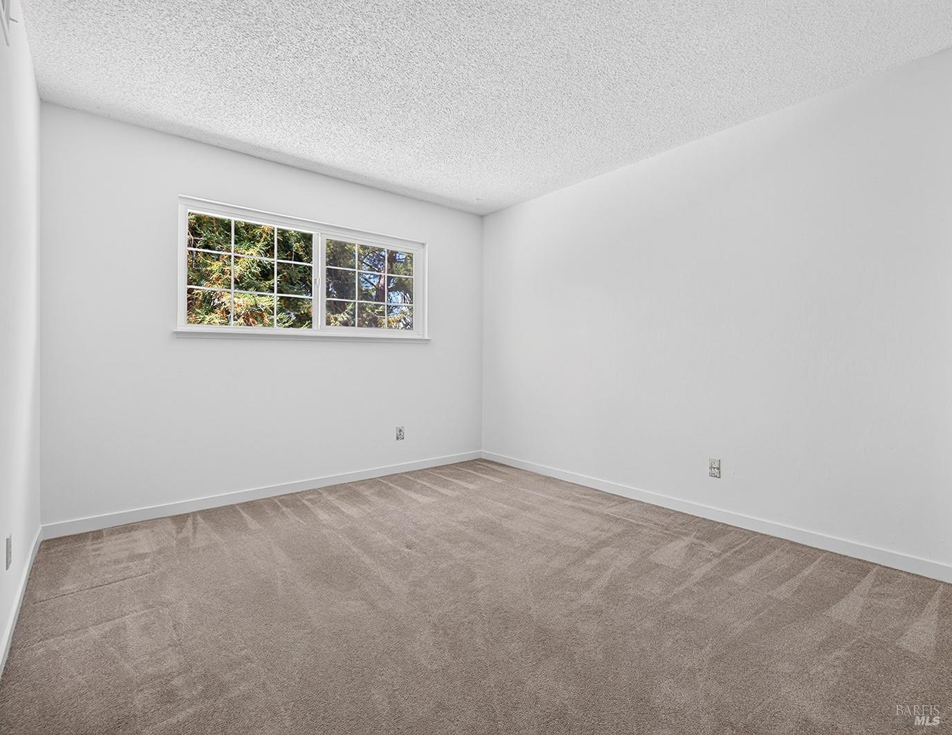 901 Catalpa Way photo 27