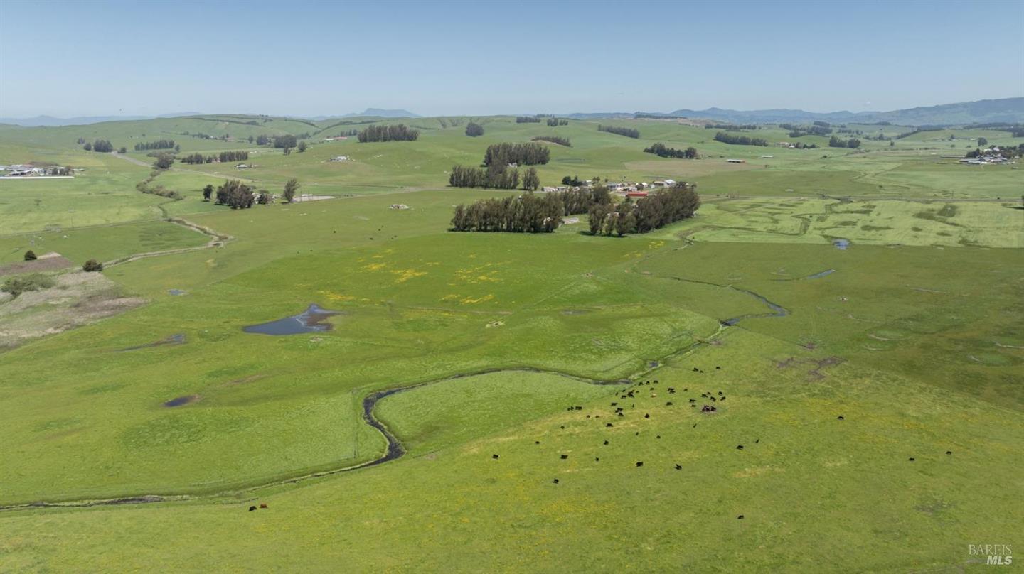 530 Tomales Road photo 13