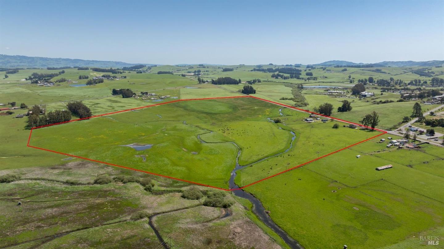 530 Tomales Road photo 3