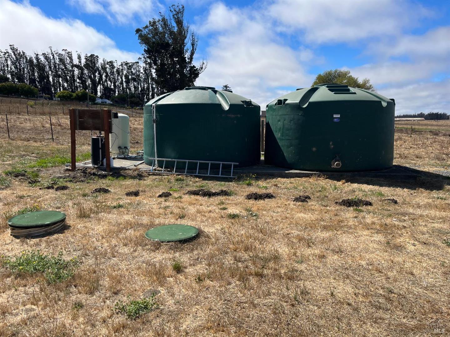530 Tomales Road photo 26