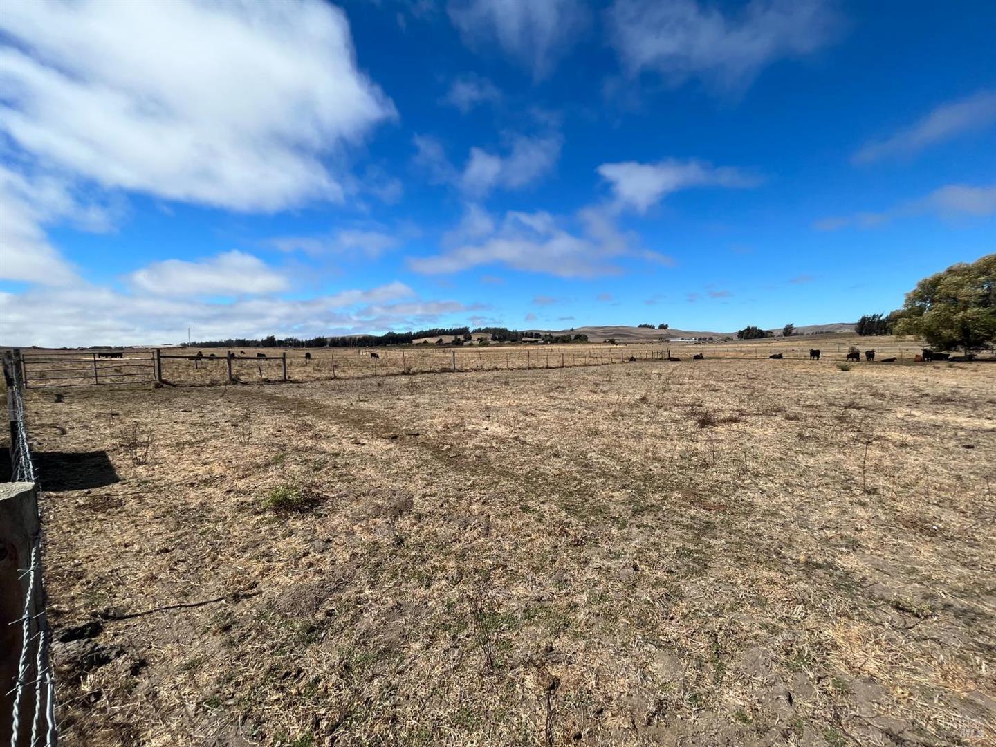 530 Tomales Road photo 30