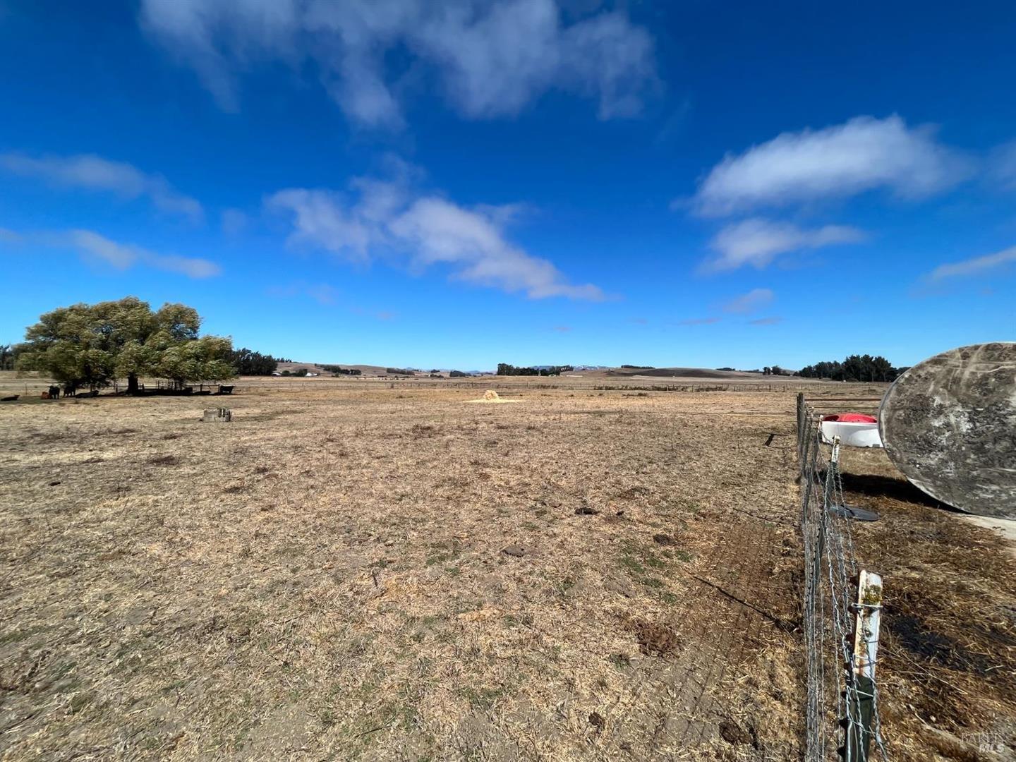 530 Tomales Road photo 31