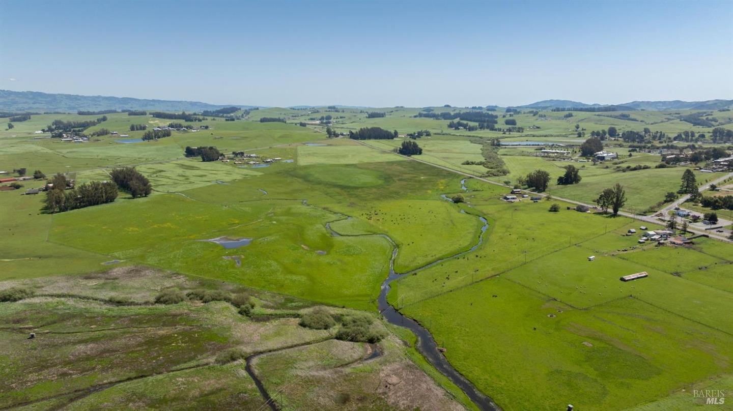 530 Tomales Road photo 5