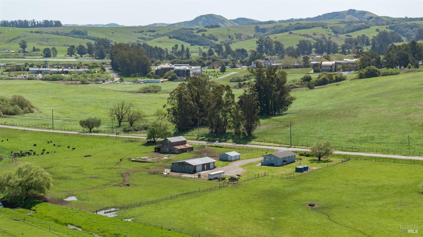 530 Tomales Road photo 7