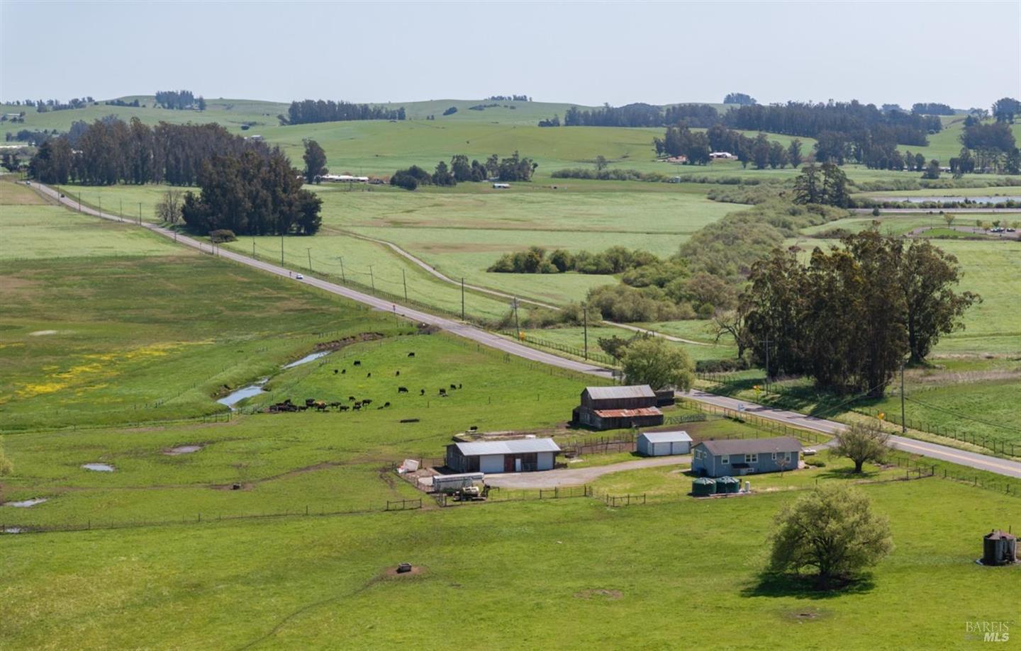 530 Tomales Road photo 8