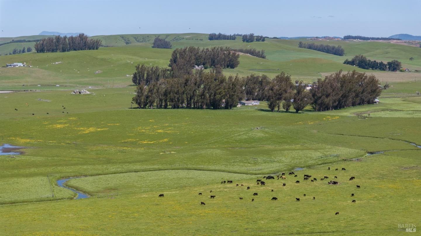 530 Tomales Road photo 10