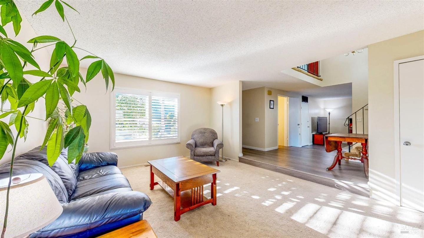 1702 Capistrano Drive photo 8