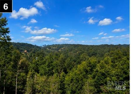 6059 Hyland Way photo 6