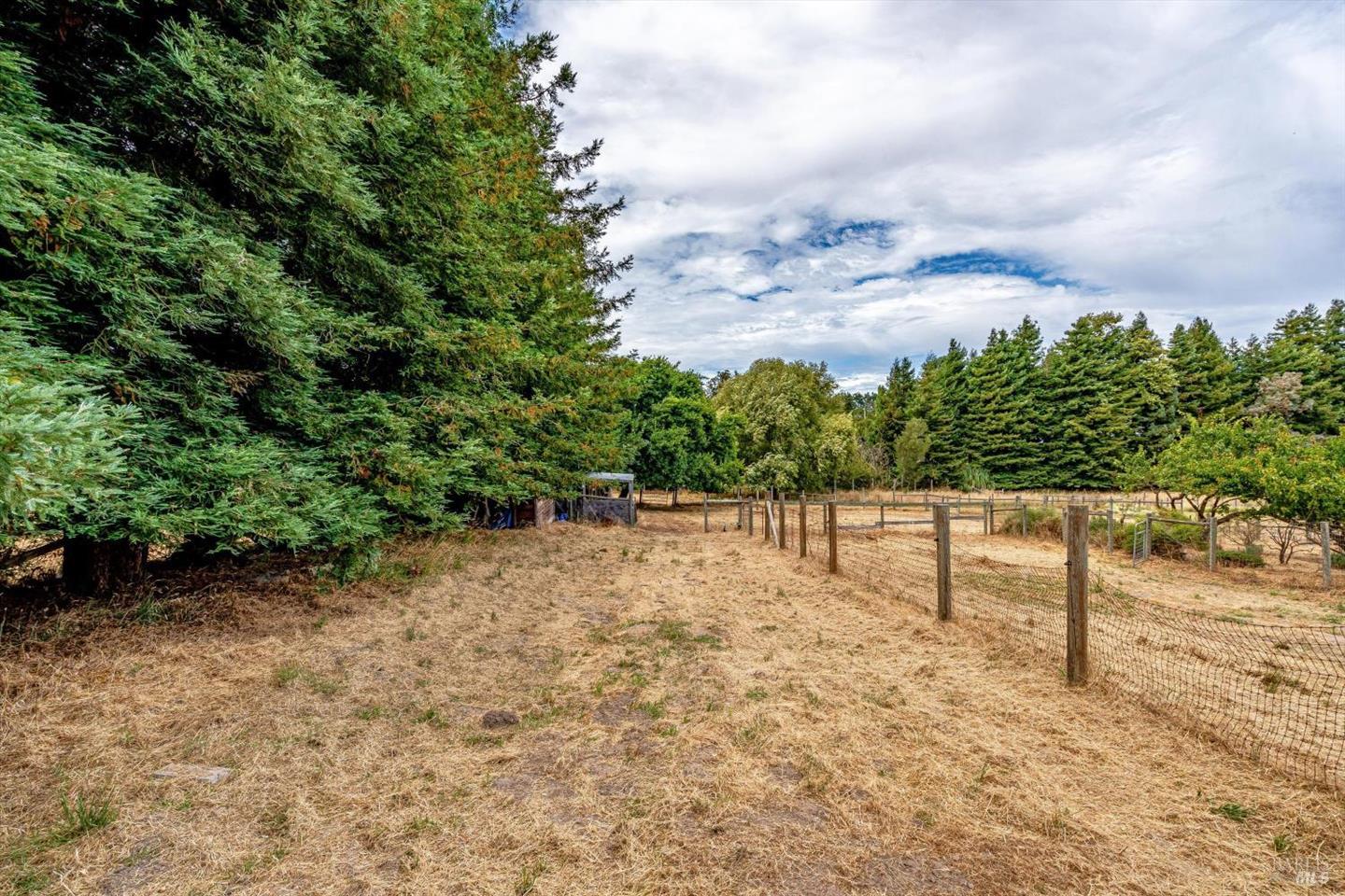 426 King Road photo 52
