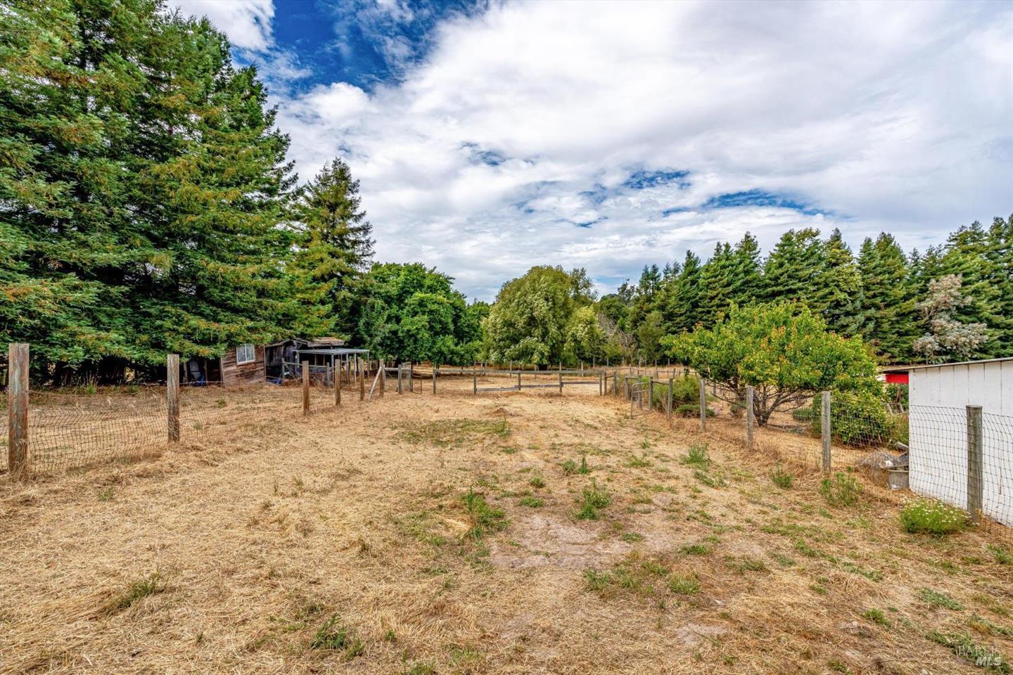 426 King Road photo 55