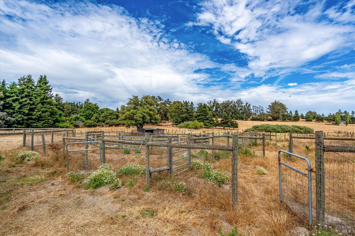 426 King Road photo 82