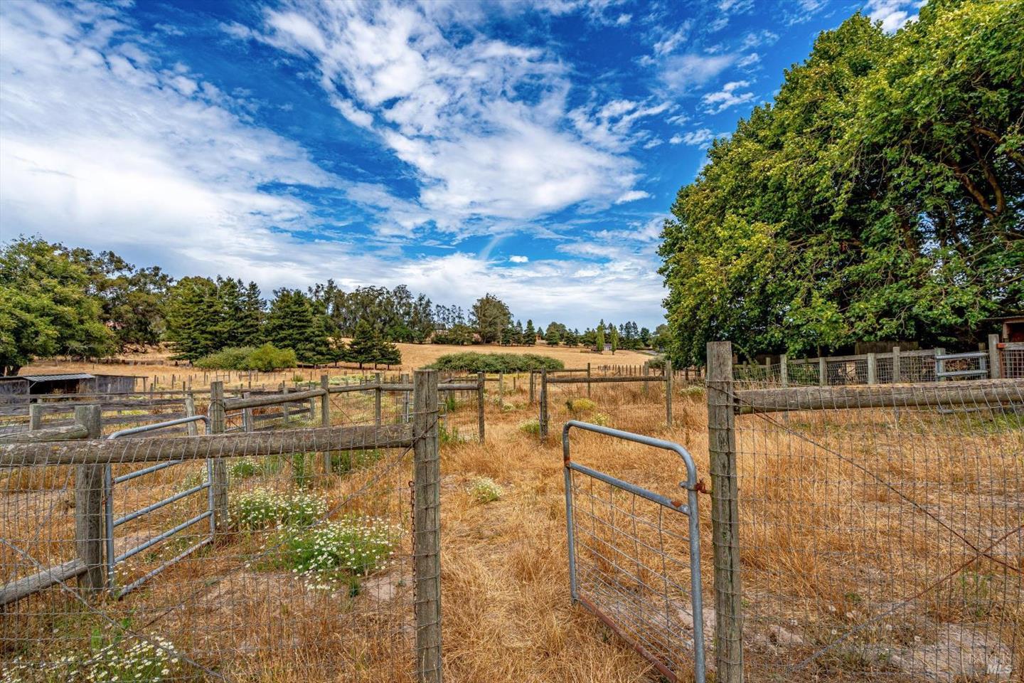 426 King Road photo 83