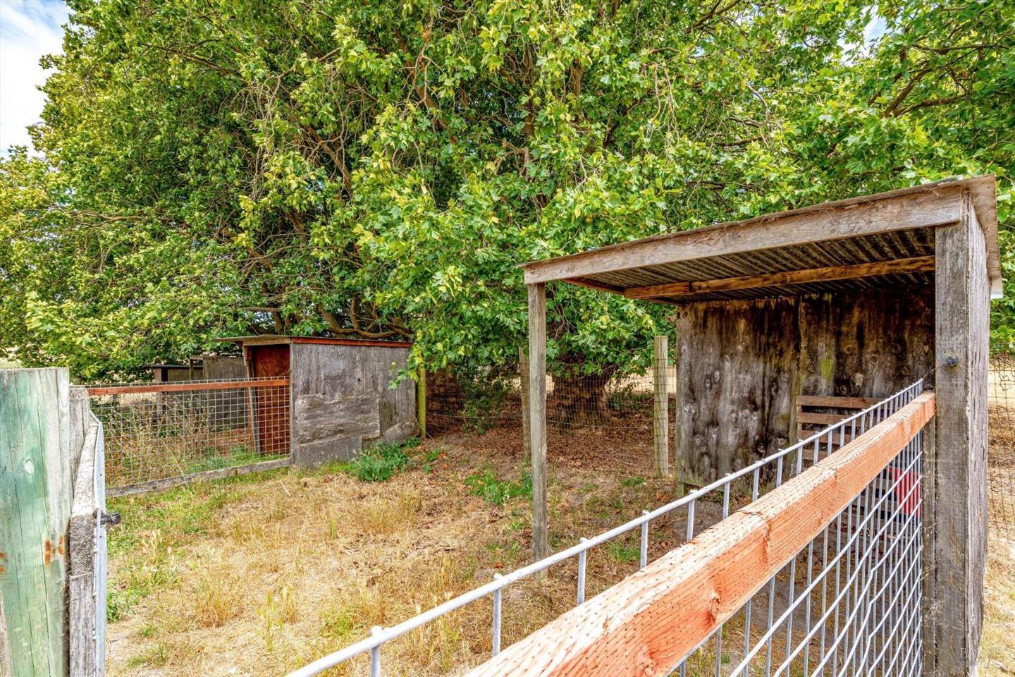 426 King Road photo 84