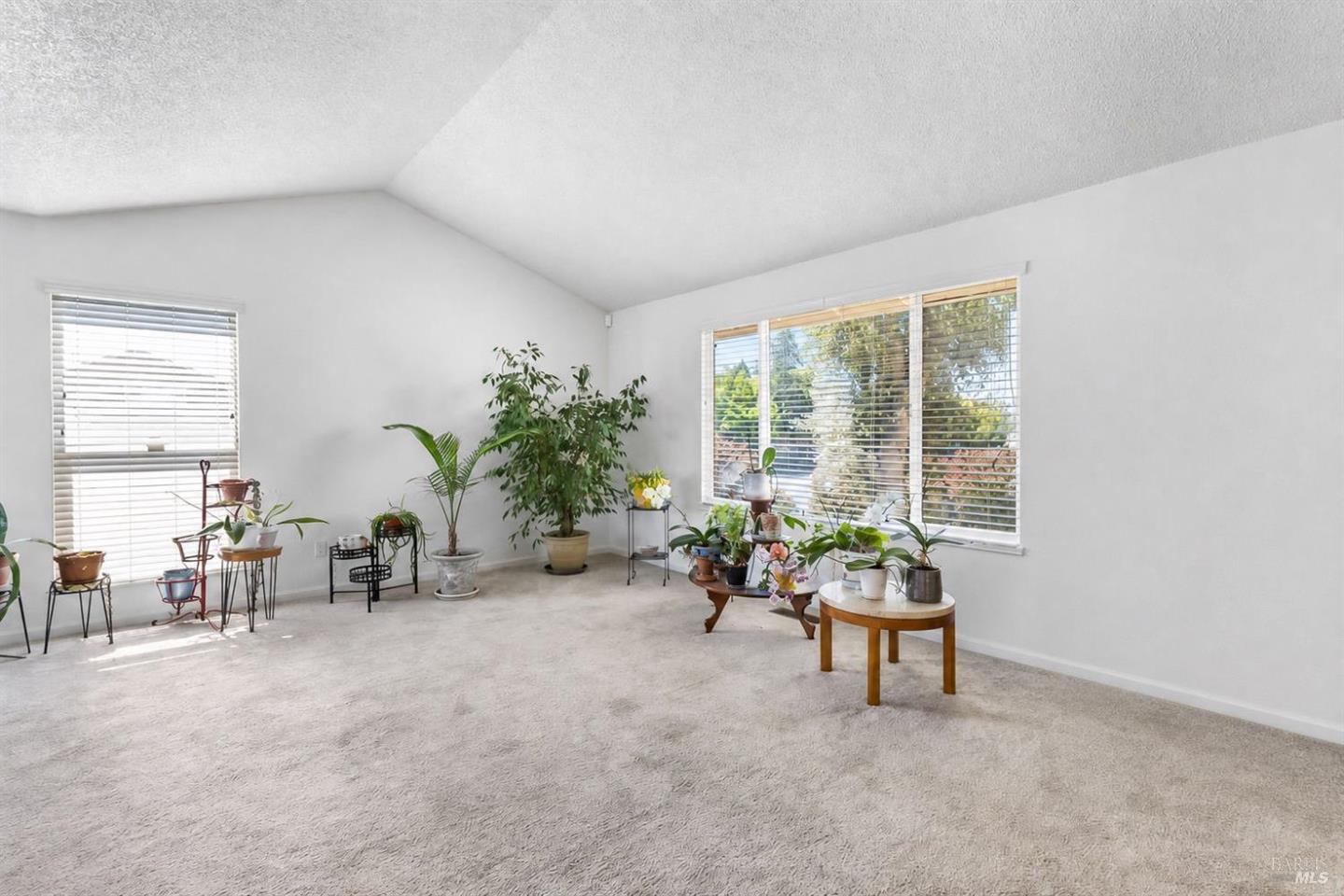 725 Park Lane photo 8