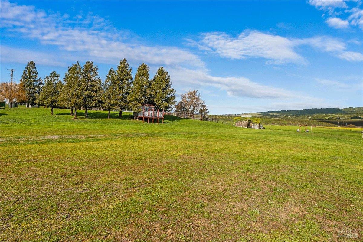 166 Davis Lane photo 49