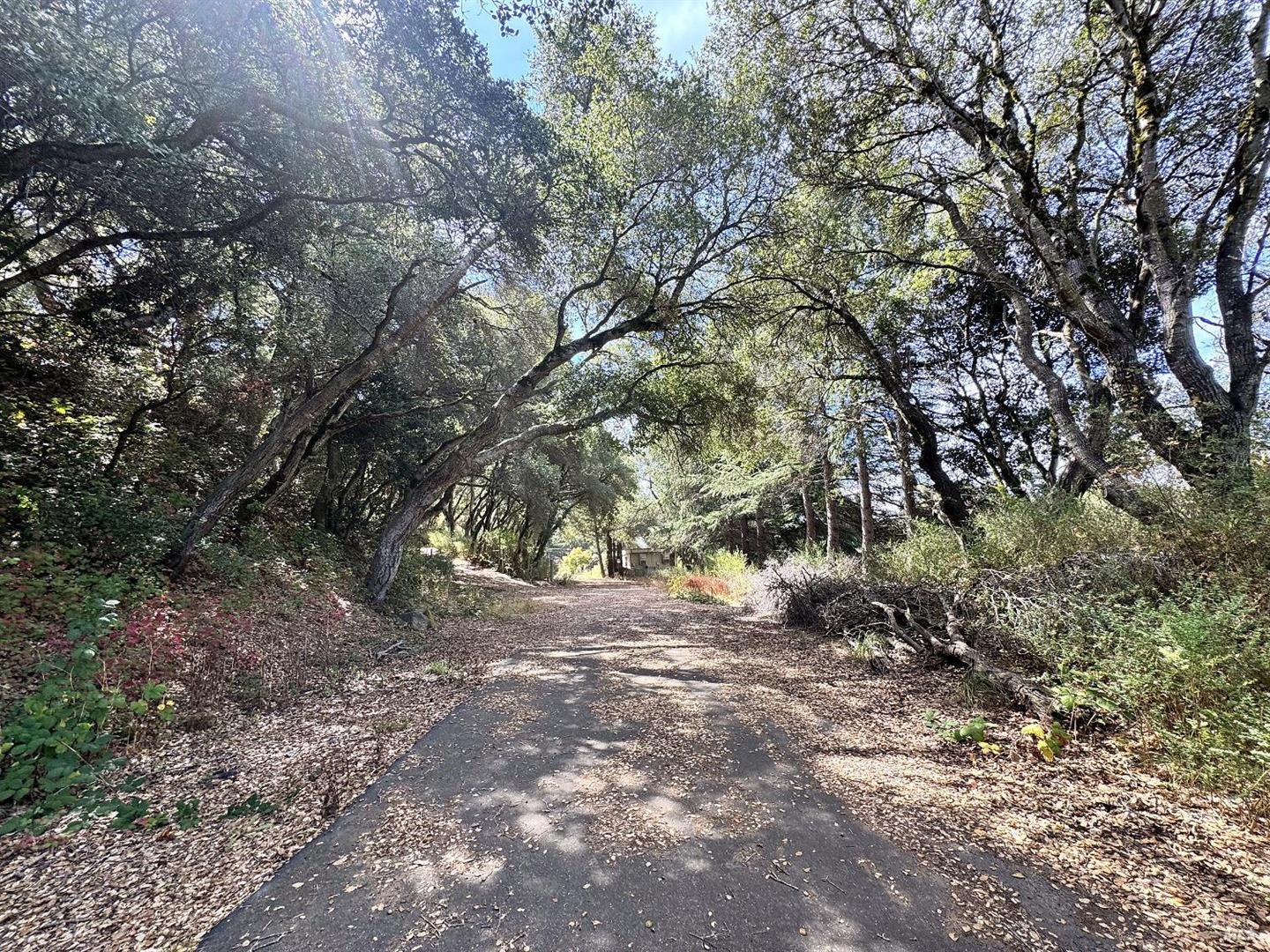 6675 Petersen Road, Petaluma, CA 94952/94954