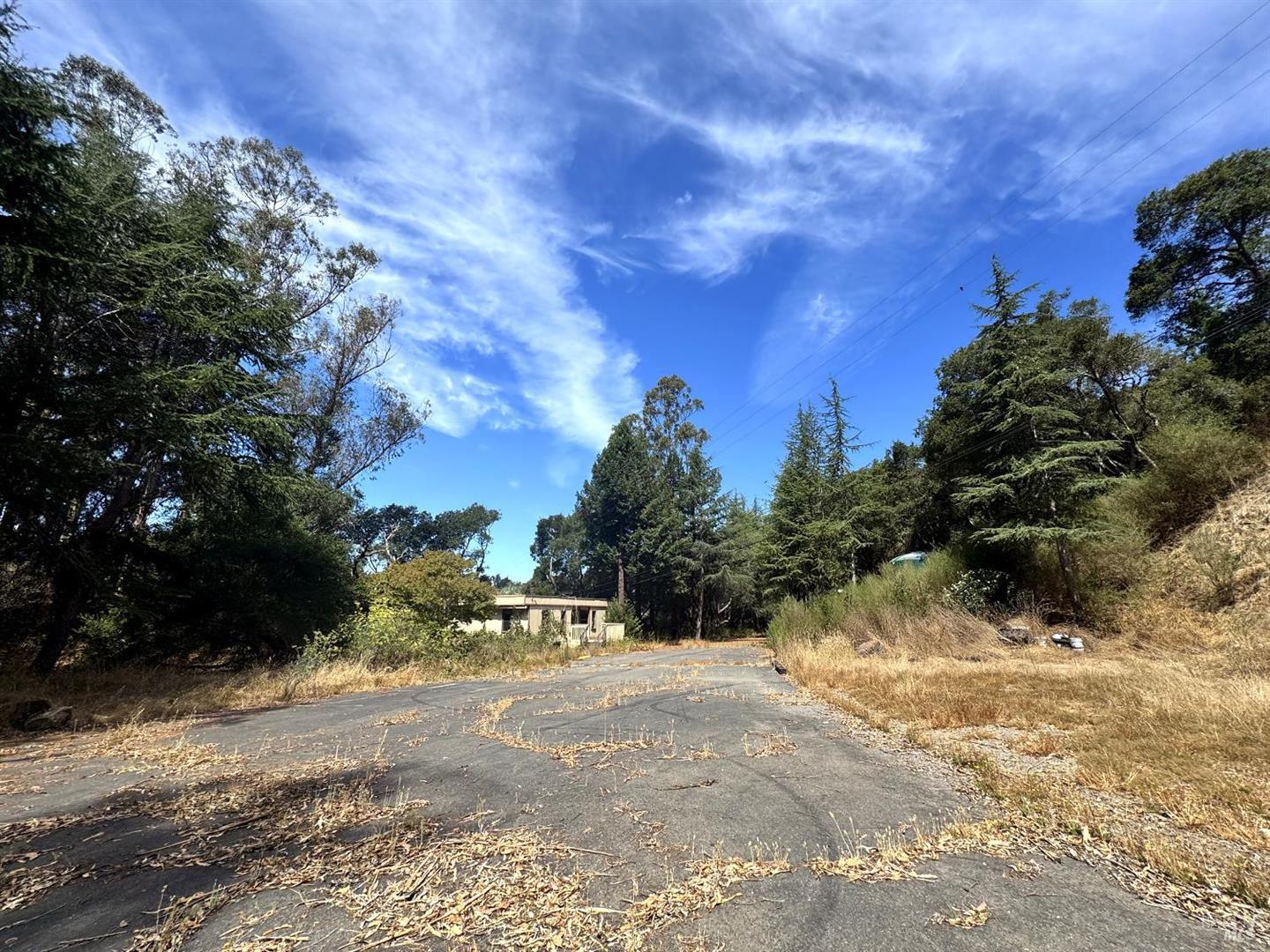6675 Petersen Road photo 20