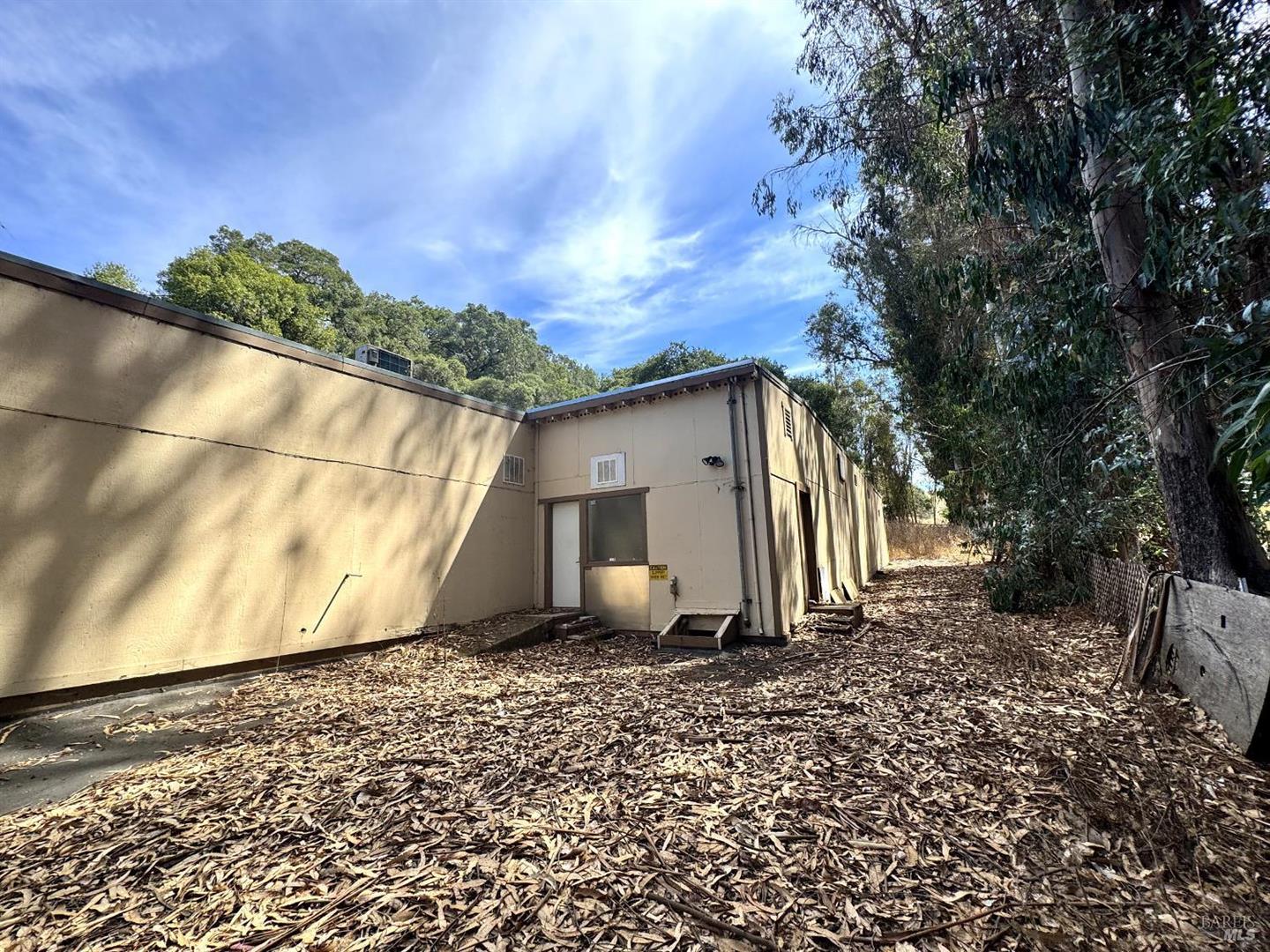 6675 Petersen Road photo 21