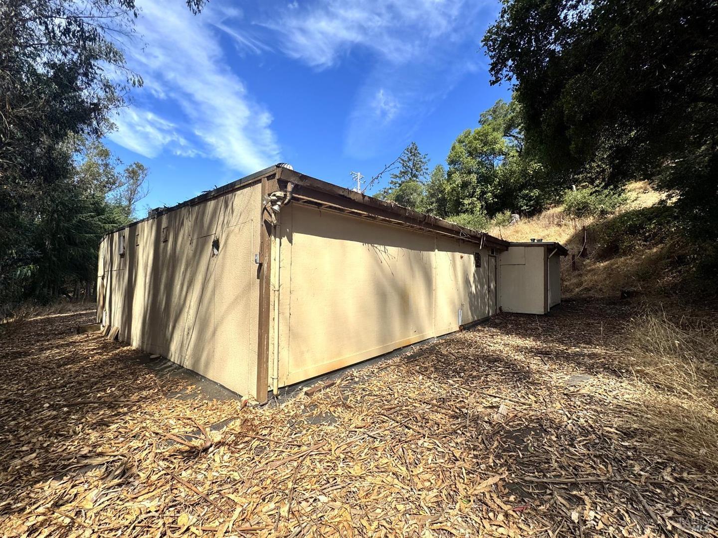 6675 Petersen Road photo 22
