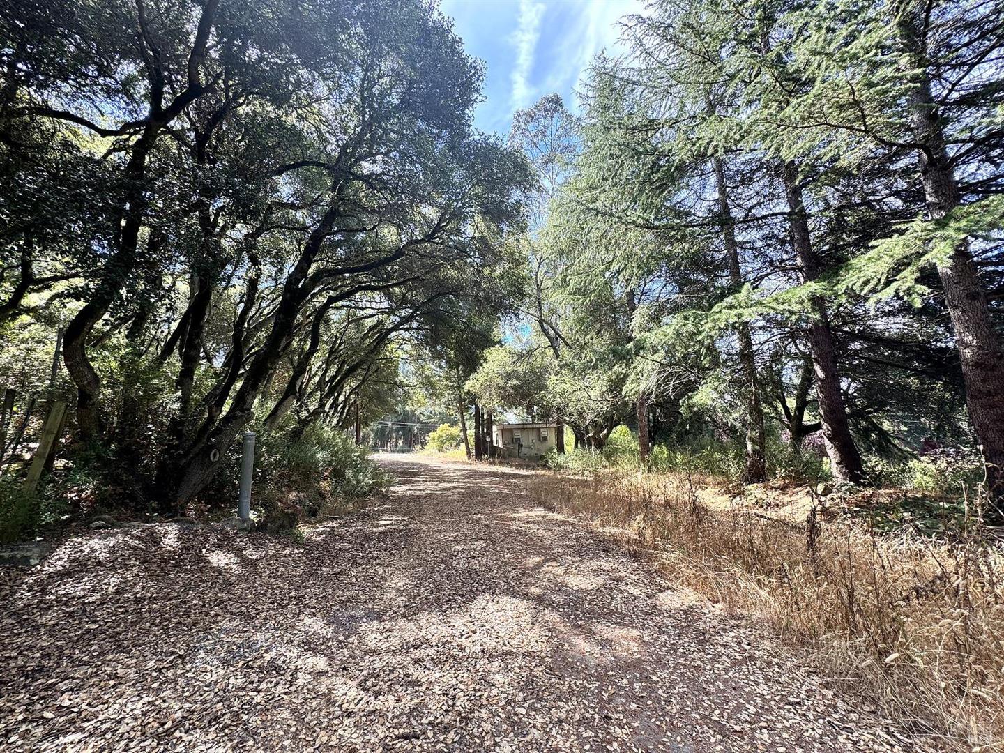 6675 Petersen Road photo 24