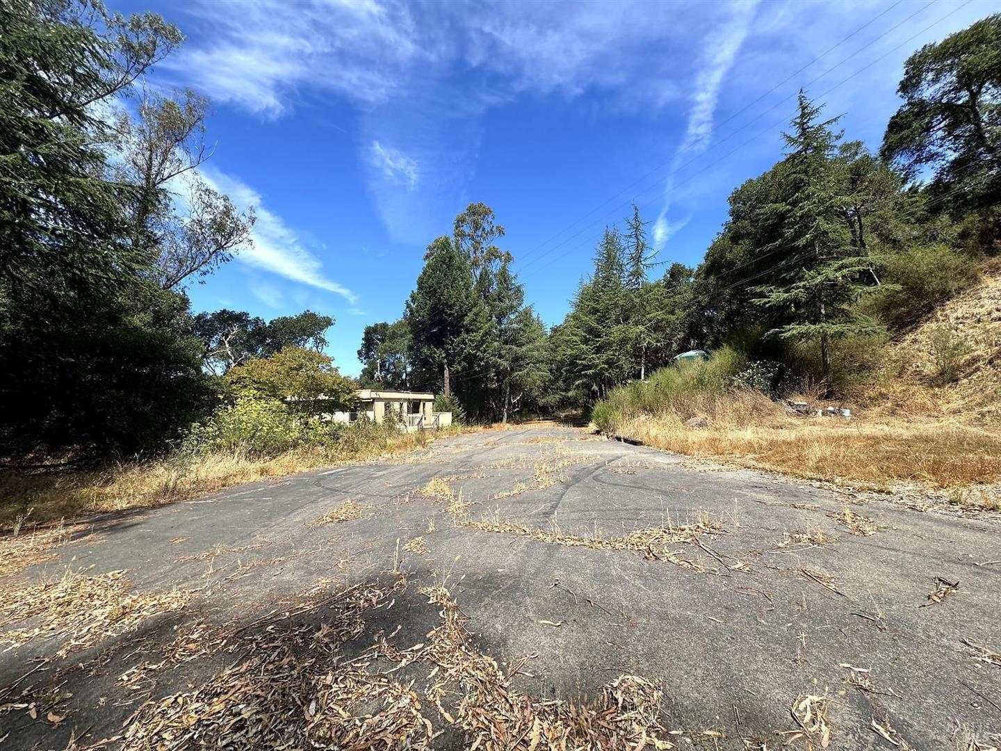 6675 Petersen Road photo 34
