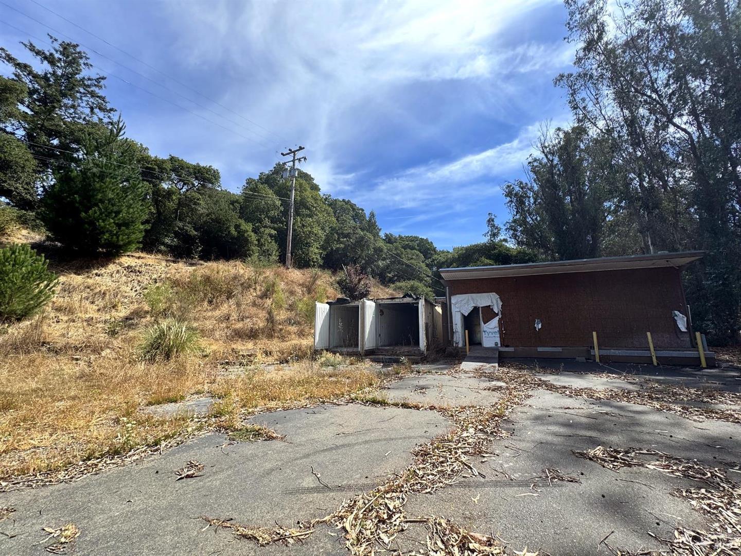 6675 Petersen Road photo 37