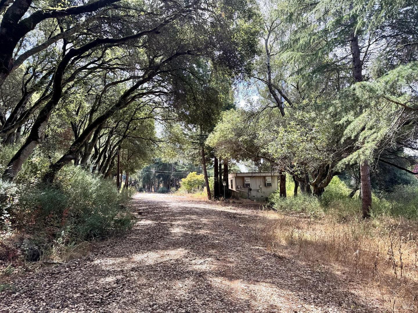 6675 Petersen Road photo 41