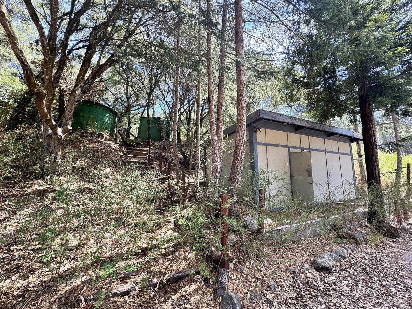 6675 Petersen Road photo 58