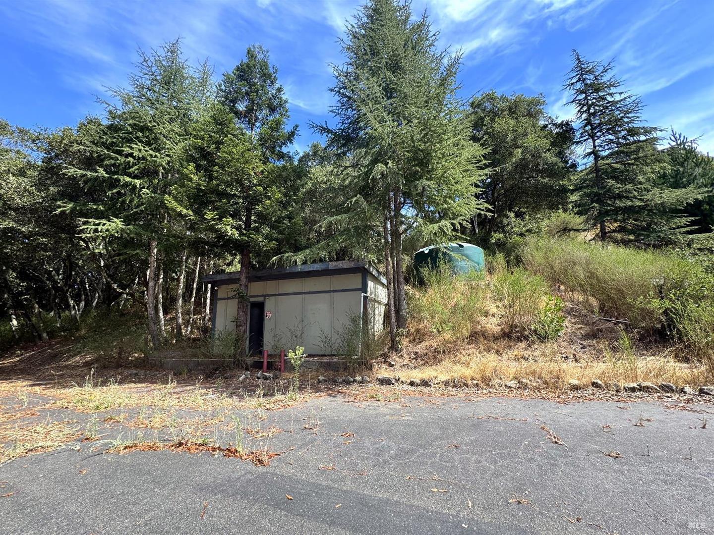 6675 Petersen Road photo 59