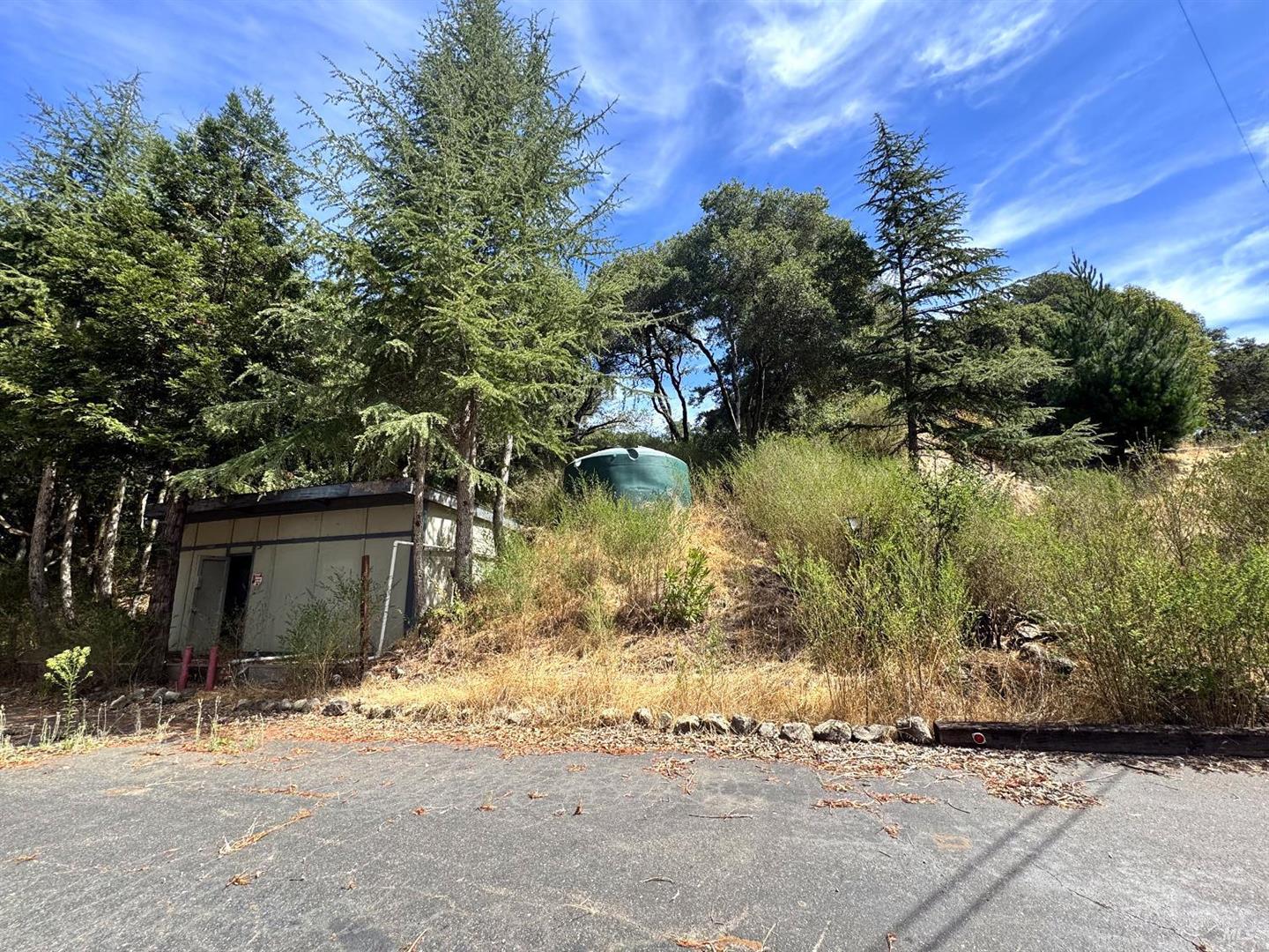 6675 Petersen Road photo 61