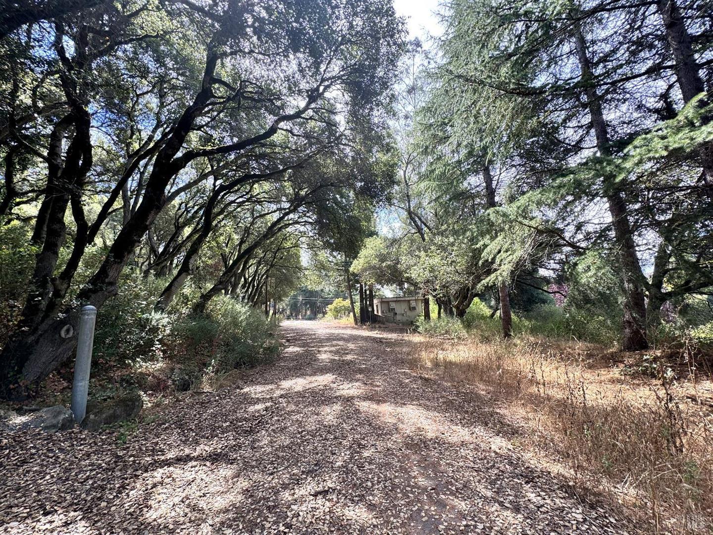 6675 Petersen Road photo 62
