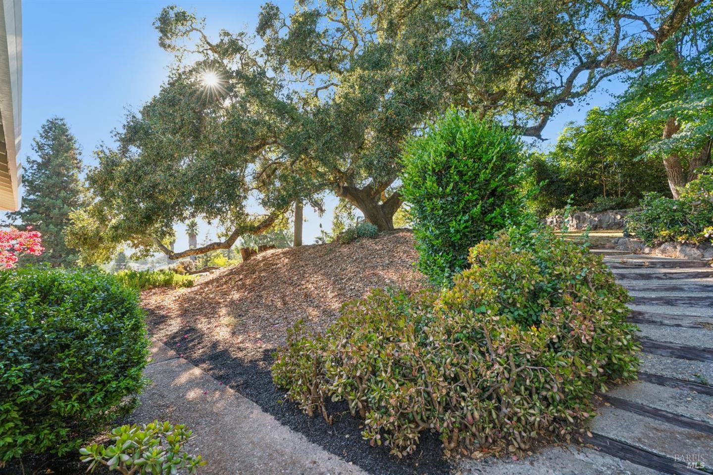 4322 Oakridge Lane photo 41