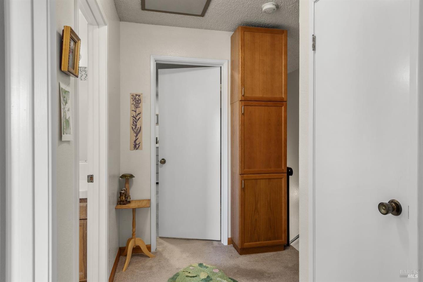 88 Park Place Drive photo 18