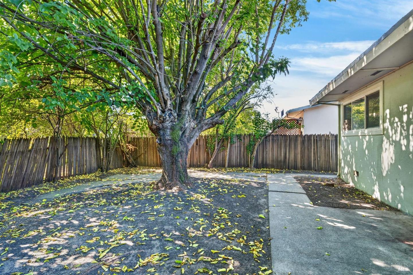 128 Burlington Drive photo 20
