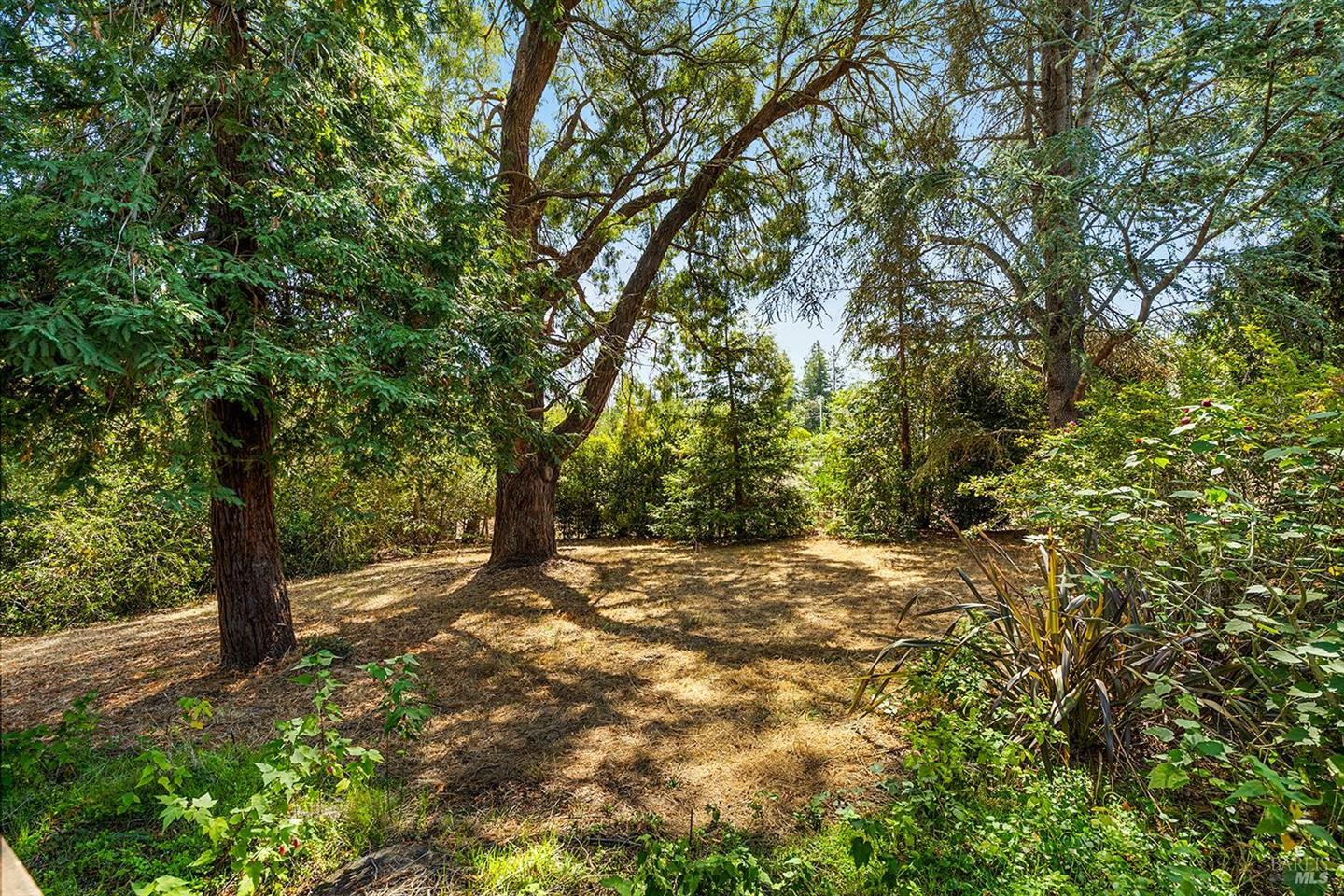 690 Palm Avenue photo 55