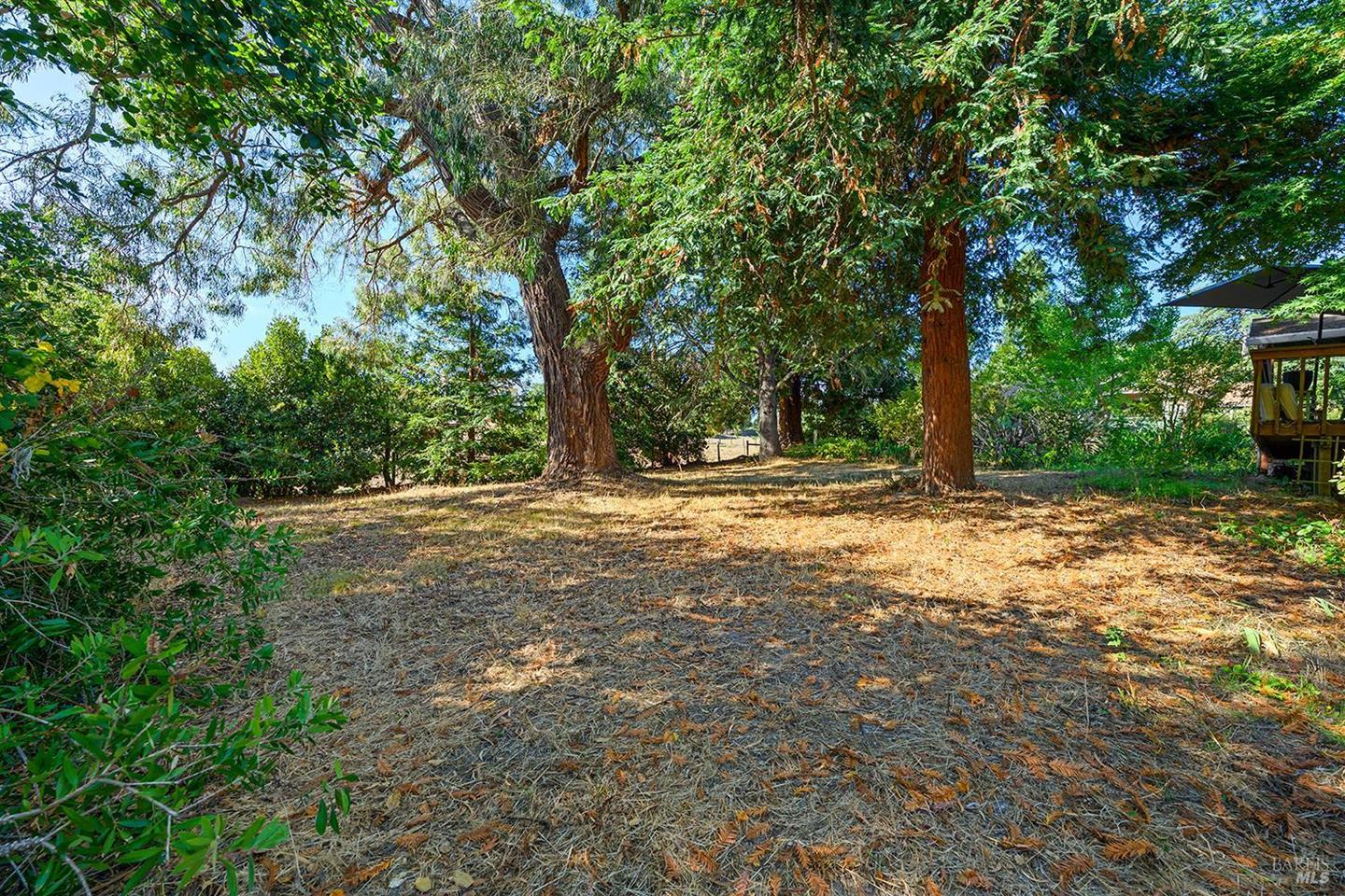690 Palm Avenue photo 56