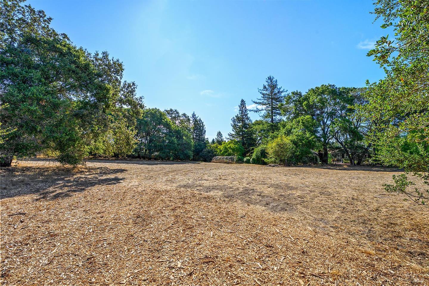 690 Palm Avenue photo 60