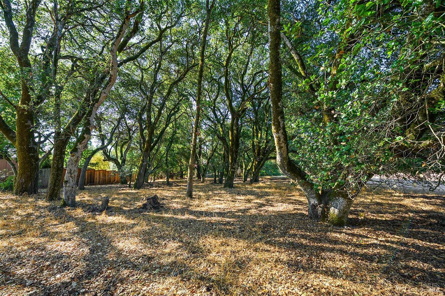 690 Palm Avenue photo 62