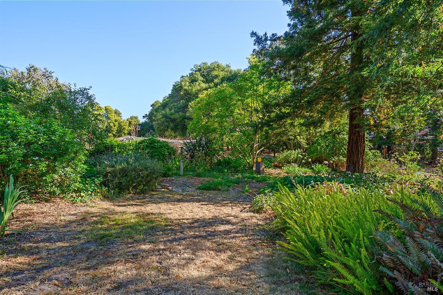 690 Palm Avenue photo 64